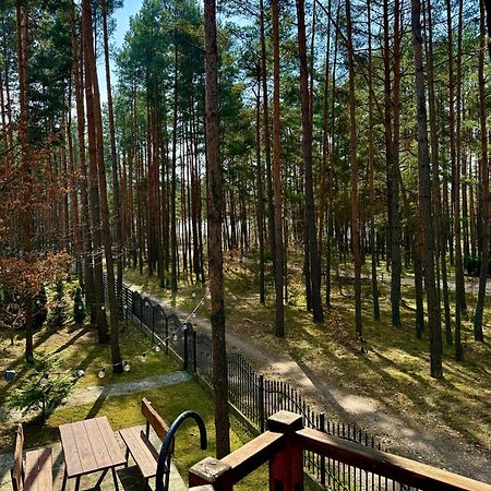 Domek W Lesie Nad Zalewem Chancza Exteriér fotografie