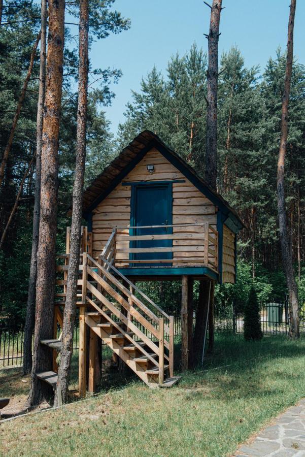Domek W Lesie Nad Zalewem Chancza Exteriér fotografie