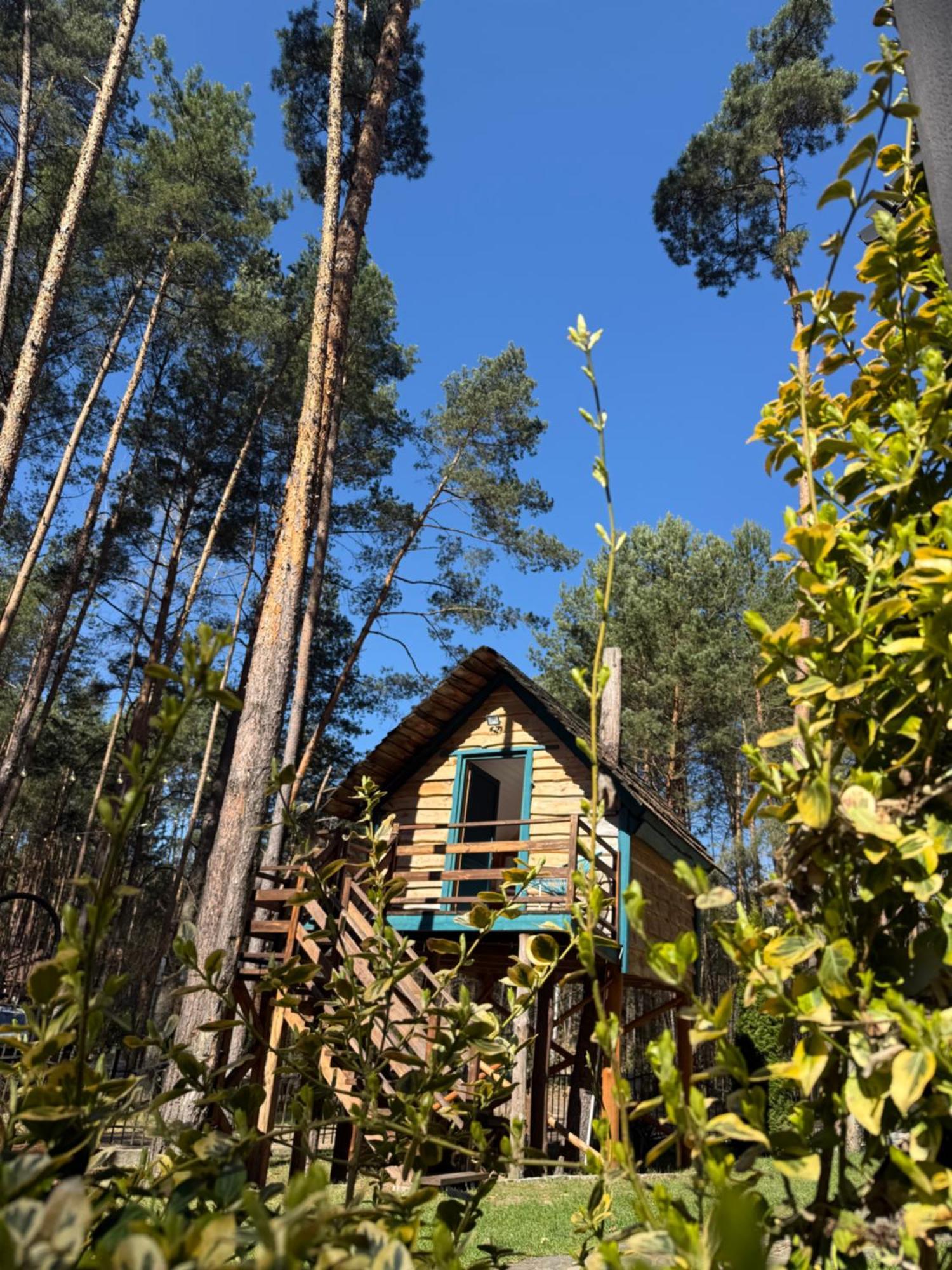 Domek W Lesie Nad Zalewem Chancza Exteriér fotografie